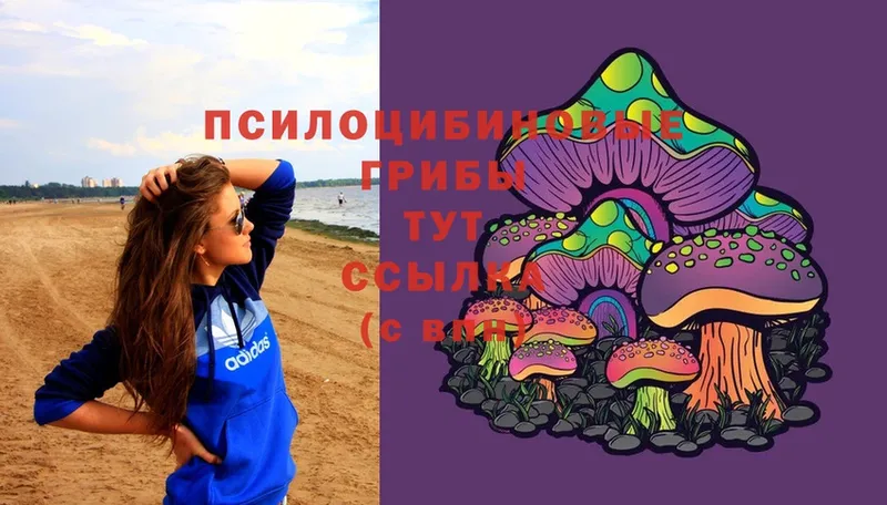 MEGA сайт  закладки  Алупка  Галлюциногенные грибы Magic Shrooms 